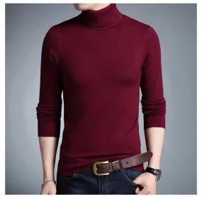 David Rollkragenpullover | Lässiger Strickpullover für Herren