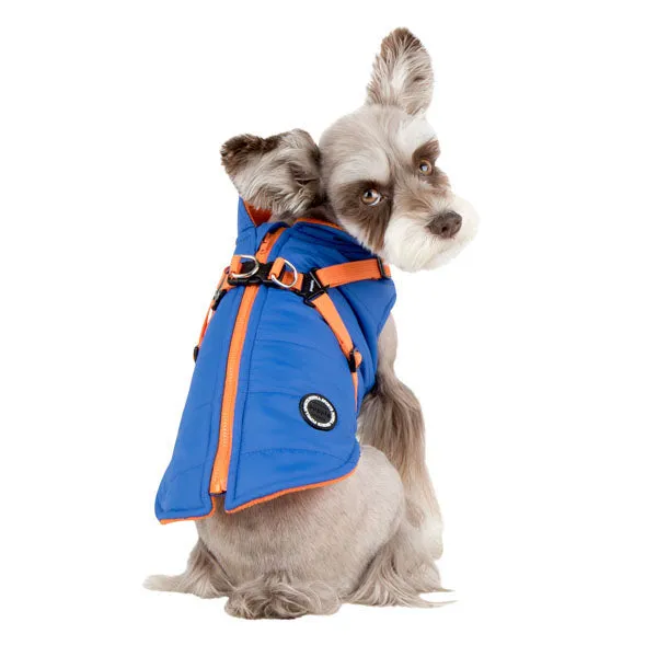 Harness Coat | Mountaineer Royal Blue & Orange