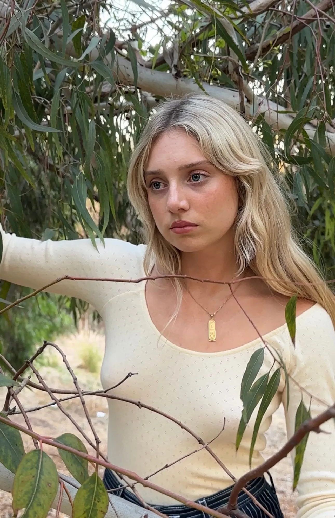 Swan Top