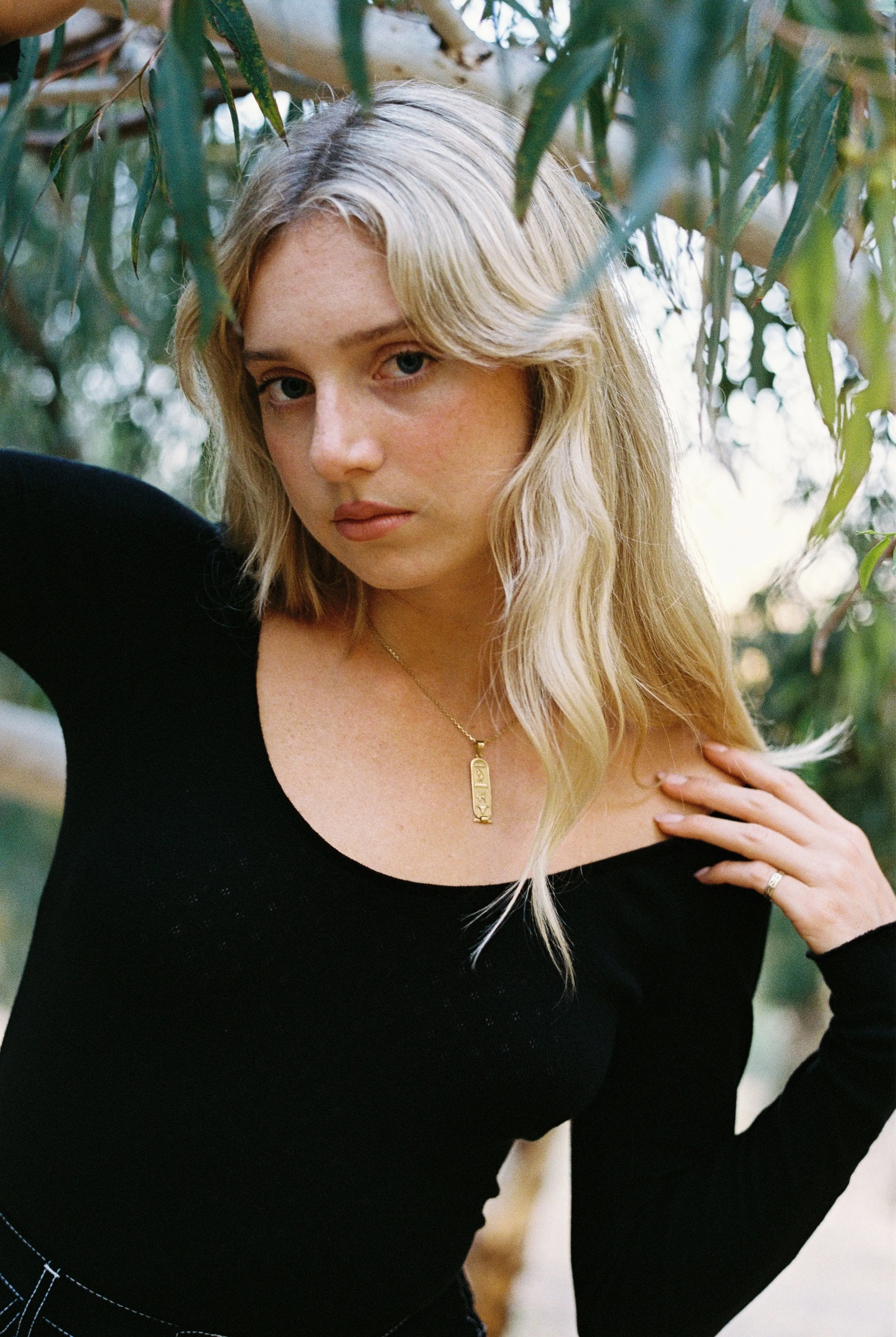 Swan Top